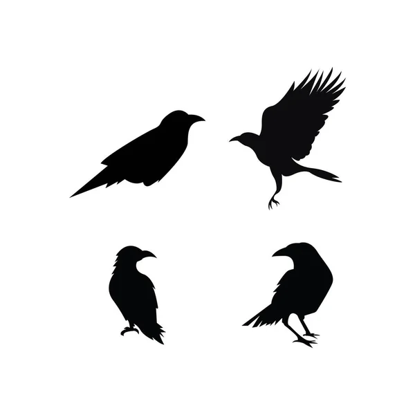 Černá Ikona Raven Vektor Ilustrační Šablona Design — Stockový vektor