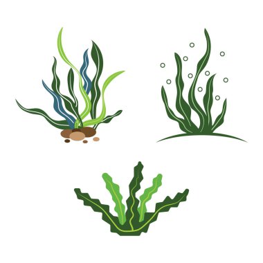 yosun simgesi vektör logosu ilüstrasyonu