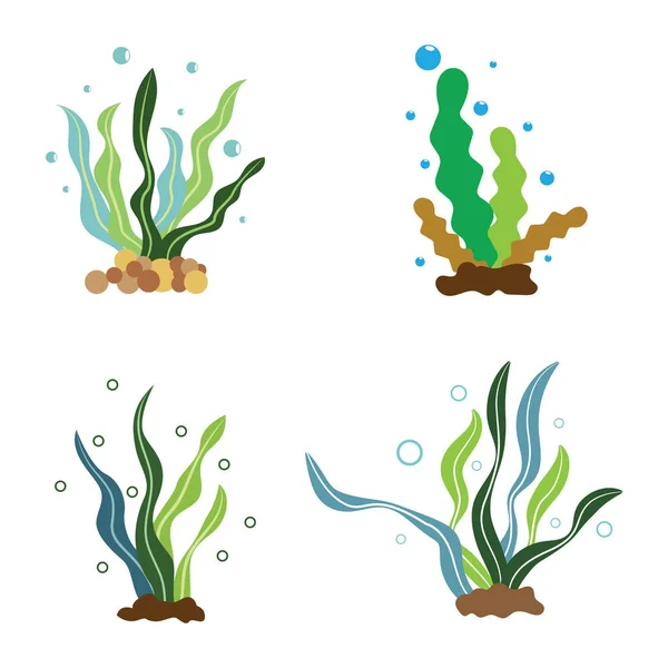 Seaweed Icon Vector Logo Ilustration — Vector de stock