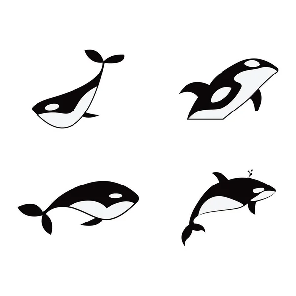 Ikona Wieloryba Wektor Ilustracja Szablon Projekt — Wektor stockowy