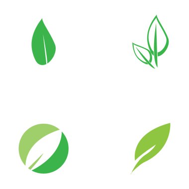 leaf nature icon vector illustration template design