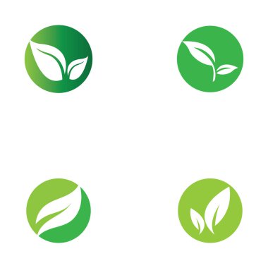 leaf nature icon vector illustration template design