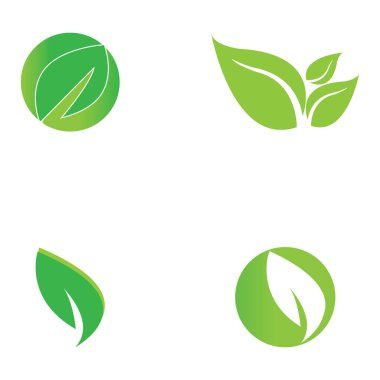 leaf nature icon vector illustration template design