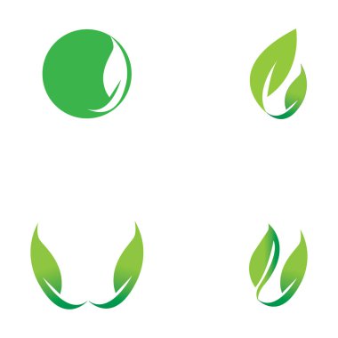 leaf nature icon vector illustration template design