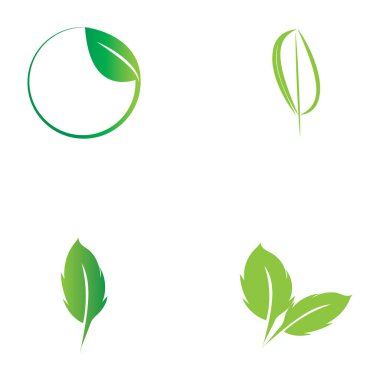 leaf nature icon vector illustration template design