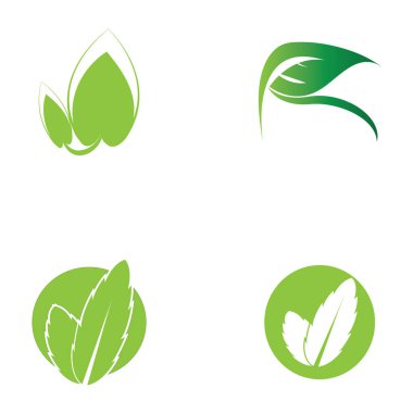 leaf nature icon vector illustration template design
