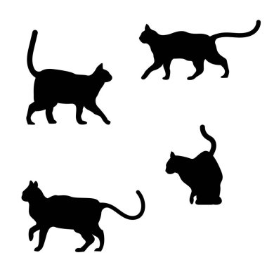 kedi silueti logo simgesi vektör illüstrasyon şablon tasarımı