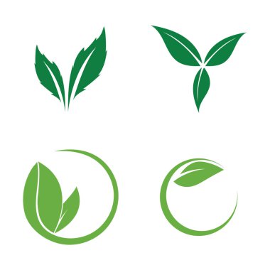 leaf nature icon vector illustration template design