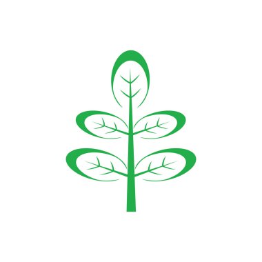 moringa yaprak simge vektör çizim şablonu tasarımı