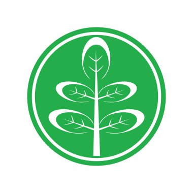 moringa yaprak simge vektör çizim şablonu tasarımı