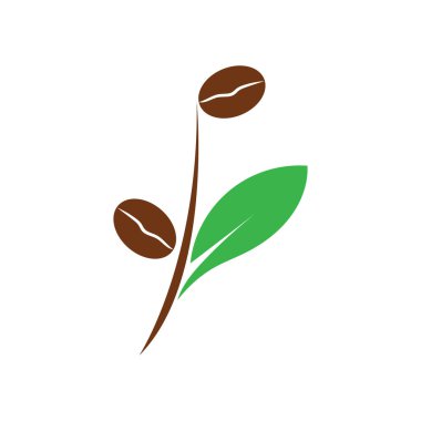 leaf and coffe icon vector illustration template design