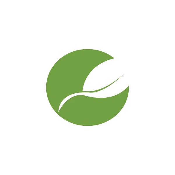 Green Leaf Garden Nature Icon Vector Illustration Template Design — Stock Vector