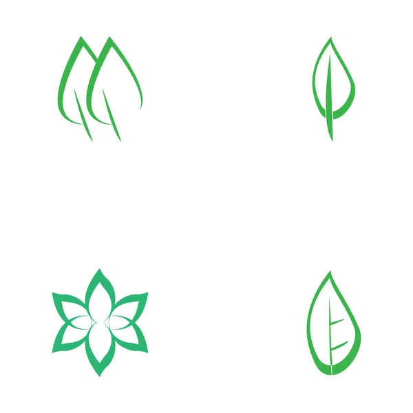 Leaf Nature Icon Vector Illustration Template Design — ストックベクタ