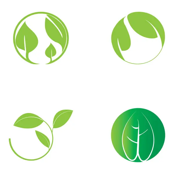 Leaf Nature Icon Vector Illustration Template Design — Vector de stock