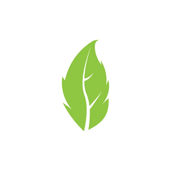 Zöld Levél Kert Természet Ikon Vektor Illusztráció Sablon Tervezés — Stock Vector