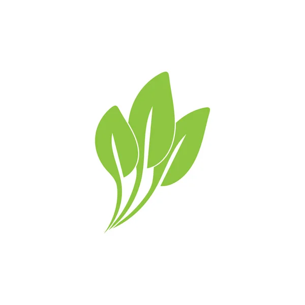 Vert Feuille Jardin Nature Icône Vectoriel Illustration Modèle Conception — Image vectorielle