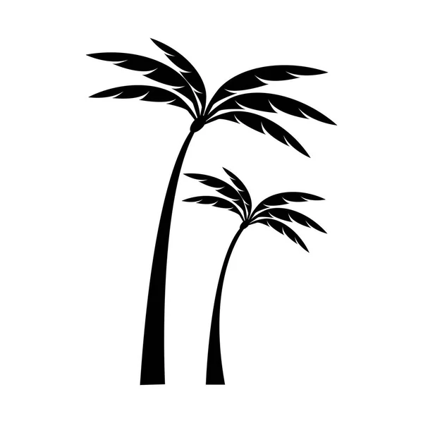 Palm Δέντρο Καλοκαίρι Λογότυπο Πρότυπο Διανυσματική Απεικόνιση — Διανυσματικό Αρχείο