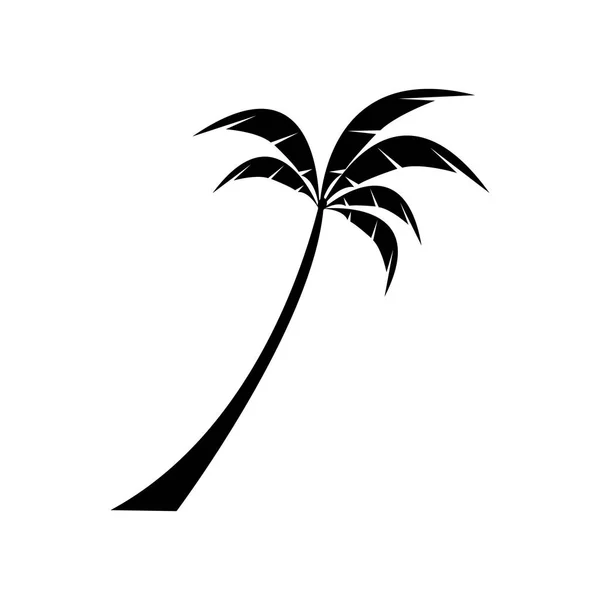 棕榈树夏季标识模板矢量插图 — 图库矢量图片