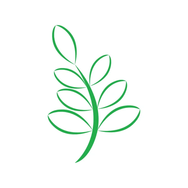 Moringa 아이콘 일러스트 템플릿 디자인 — 스톡 벡터