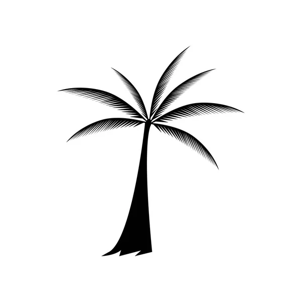 Palmeira Verão Logotipo Modelo Vetor Ilustração —  Vetores de Stock