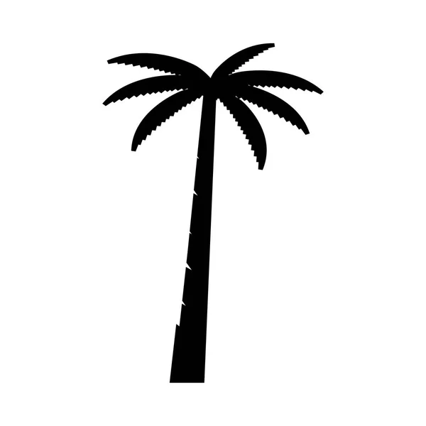 Пальмове Дерево Літо Шаблон Логотипу Векторні Ілюстрації — стоковий вектор