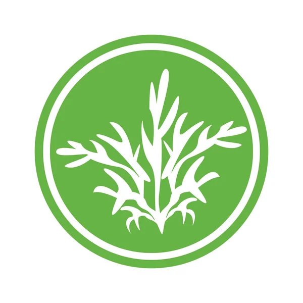 Seaweed Icon Vector Logo Ilustration — Image vectorielle