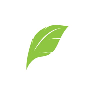 Yaprak yeşil logo ve sembol vektör şablonu