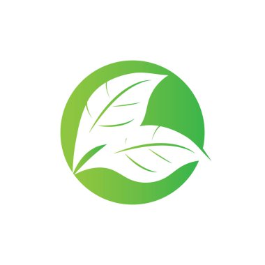 Yaprak yeşil logo ve sembol vektör şablonu
