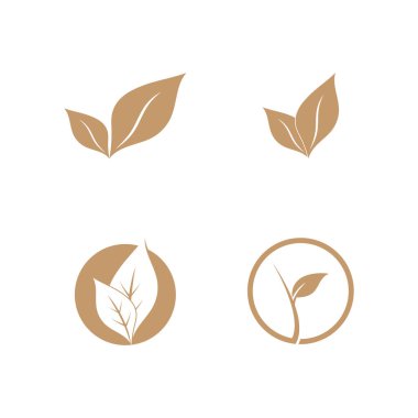 Yaprağın logo simgesi vektör illüstrasyon şablonu tasarımı