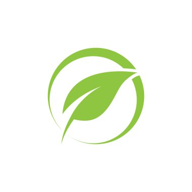 Yaprak yeşil logo ve sembol vektör şablonu