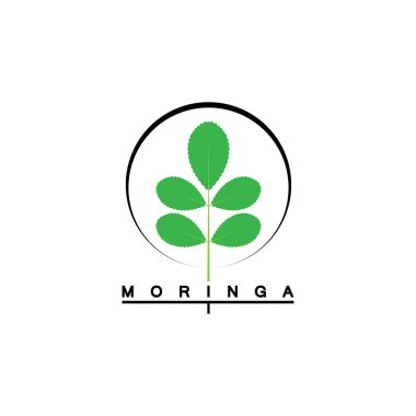 moringa leaf nature simge vektör illüstrasyon şablonu tasarımı