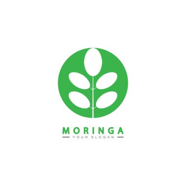 moringa leaf nature simge vektör illüstrasyon şablonu tasarımı