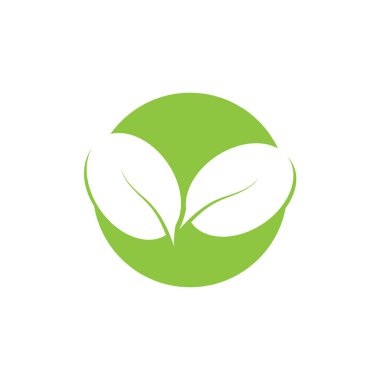 Yaprağın logo simgesi vektör illüstrasyon şablonu tasarımı