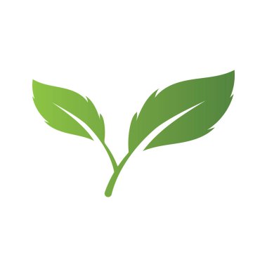 Yaprağın logo simgesi vektör illüstrasyon şablonu tasarımı