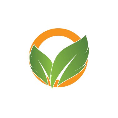 Yaprağın logo simgesi vektör illüstrasyon şablonu tasarımı