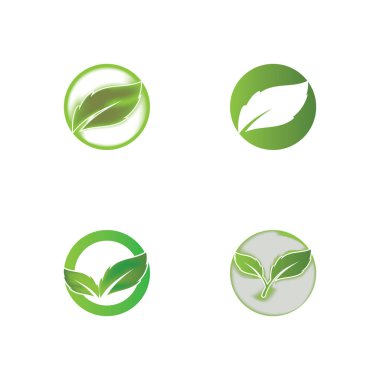 Yaprağın logo simgesi vektör illüstrasyon şablonu tasarımı