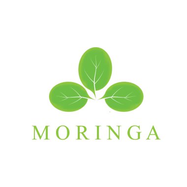 moringa leaf nature simge vektör illüstrasyon şablonu tasarımı