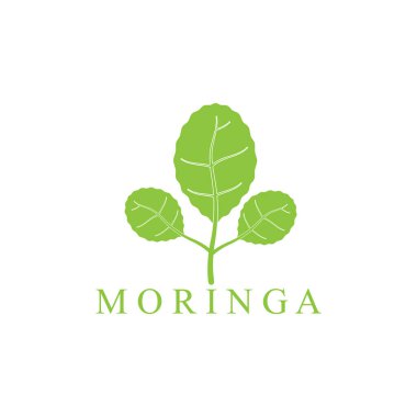 moringa leaf nature simge vektör illüstrasyon şablonu tasarımı
