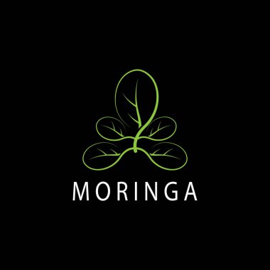 moringa leaf nature simge vektör illüstrasyon şablonu tasarımı