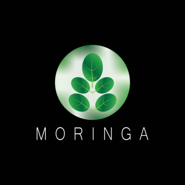 moringa leaf nature simge vektör illüstrasyon şablonu tasarımı