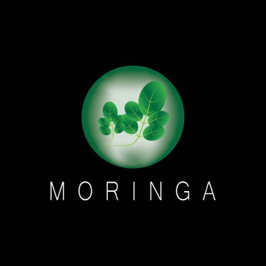 moringa leaf nature simge vektör illüstrasyon şablonu tasarımı