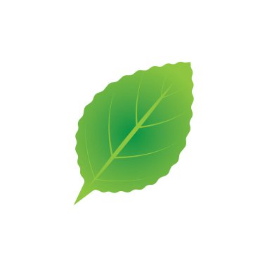 Yaprak yeşil logo ve sembol vektör şablonu