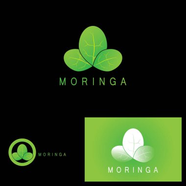 moringa leaf nature simge vektör illüstrasyon şablonu tasarımı