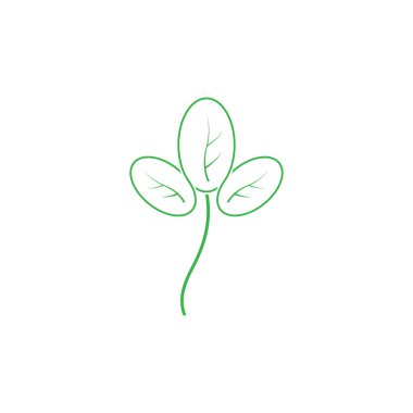 moringa leaf nature simge vektör illüstrasyon şablonu tasarımı