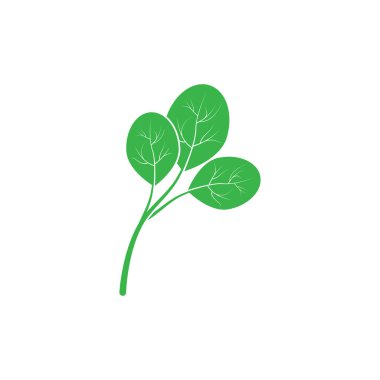 moringa leaf nature simge vektör illüstrasyon şablonu tasarımı