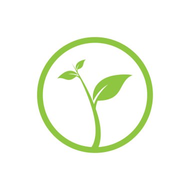 Yaprak yeşil logo ve sembol vektör şablonu