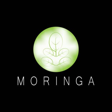 moringa leaf nature simge vektör illüstrasyon şablonu tasarımı