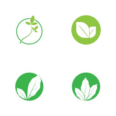 Yaprak yeşil logo ve sembol vektör şablonu