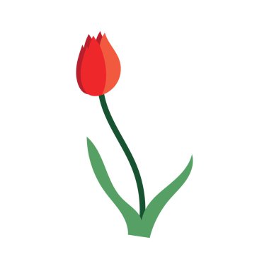 laleler logo vektör film ikonu resimleme şablonu tasarımı