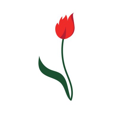 laleler logo vektör film ikonu resimleme şablonu tasarımı